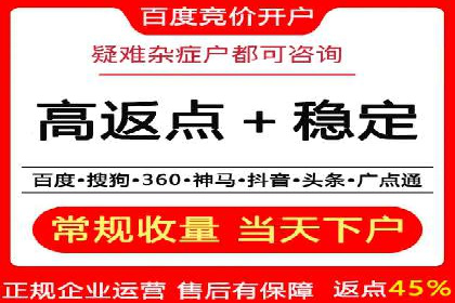 百度竞价SEM案例：揭秘高效广告投放技巧